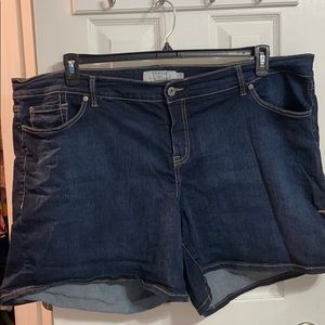 TORRID Denim Short
